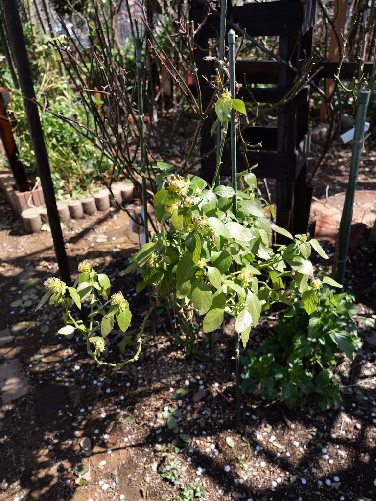 2025-03-10 10_49№(0142).JPG