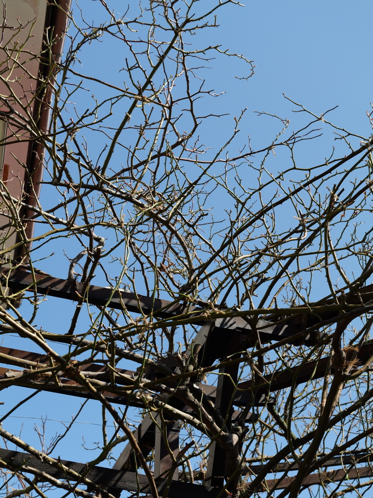 2025-03-10 10_49№(0144).JPG