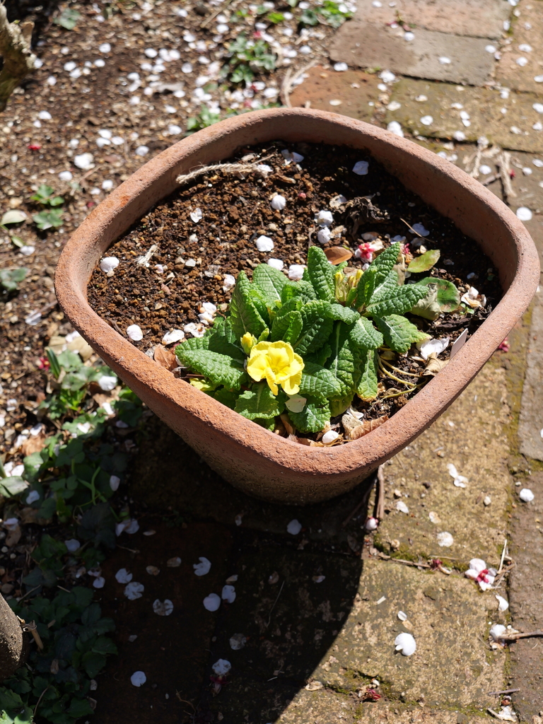 2025-03-10 10_49№(0145).JPG