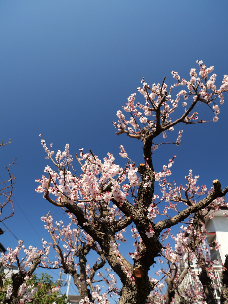 2025-03-10 10_49№(0147).JPG