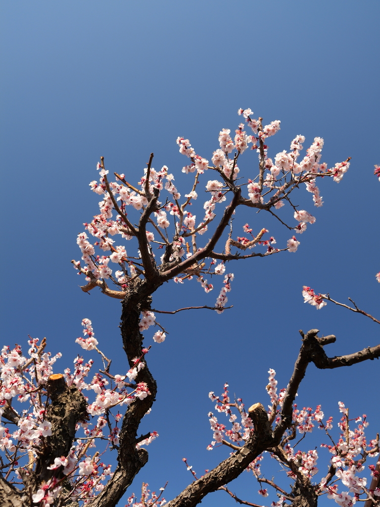 2025-03-10 10_49№(0148).JPG