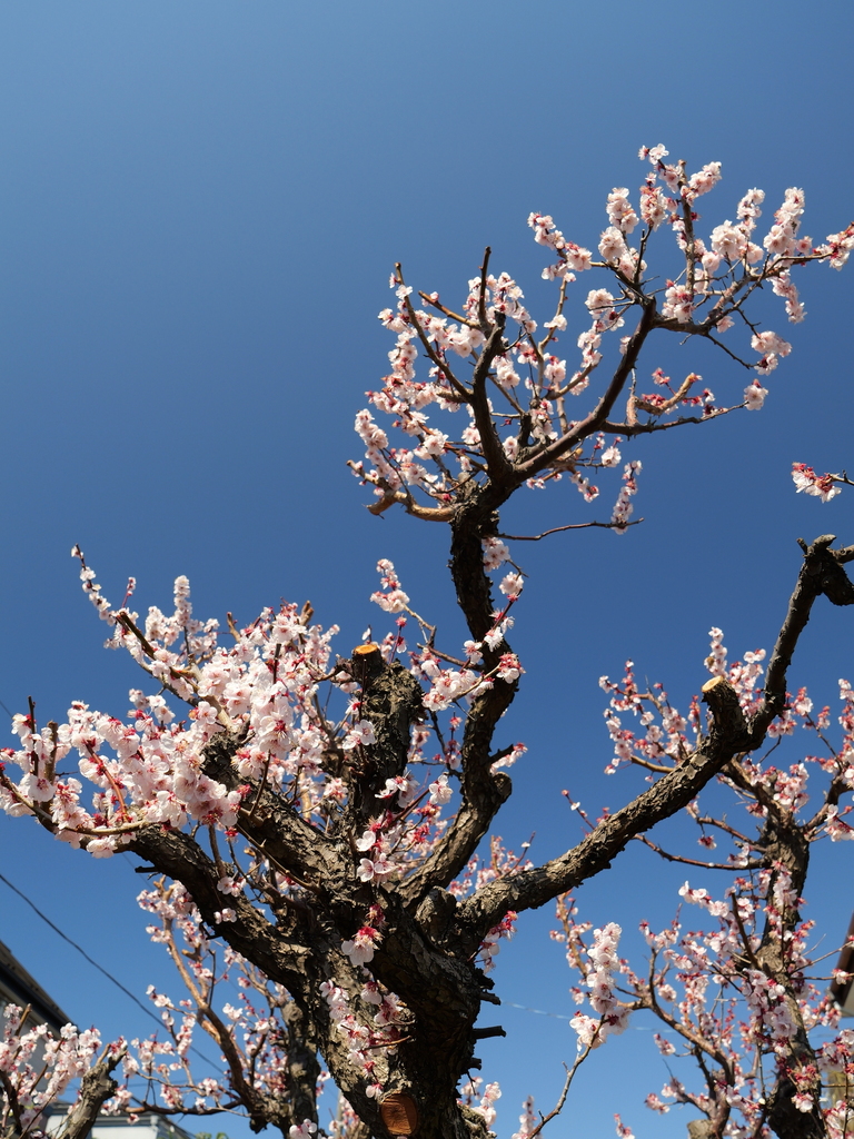 2025-03-10 10_49№(0149).JPG