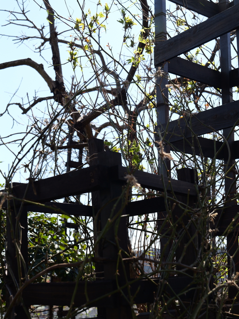 2025-03-10 10_50№(0161).JPG
