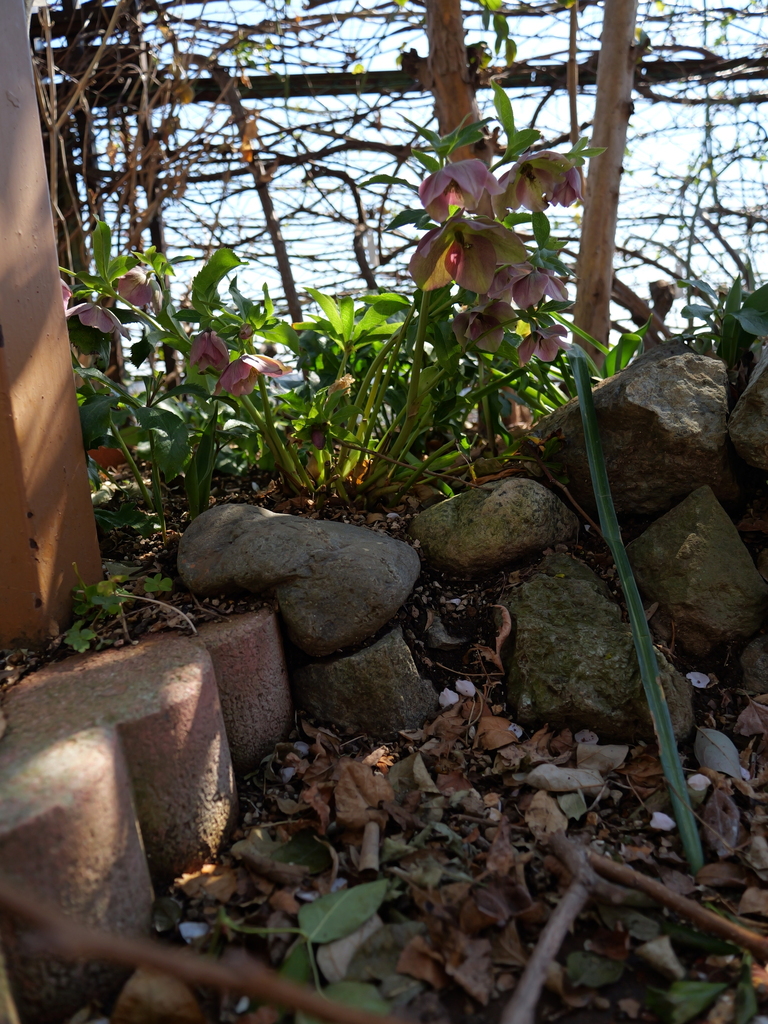 2025-03-10 10_50№(0162).JPG