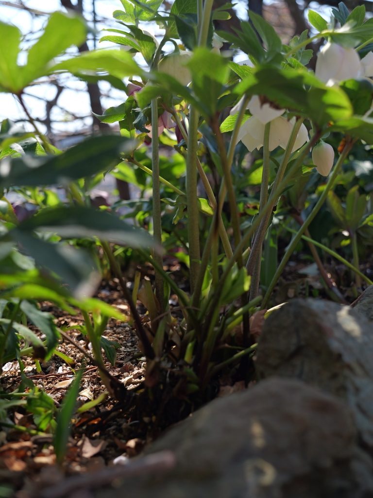 2025-03-10 10_50№(0164).JPG