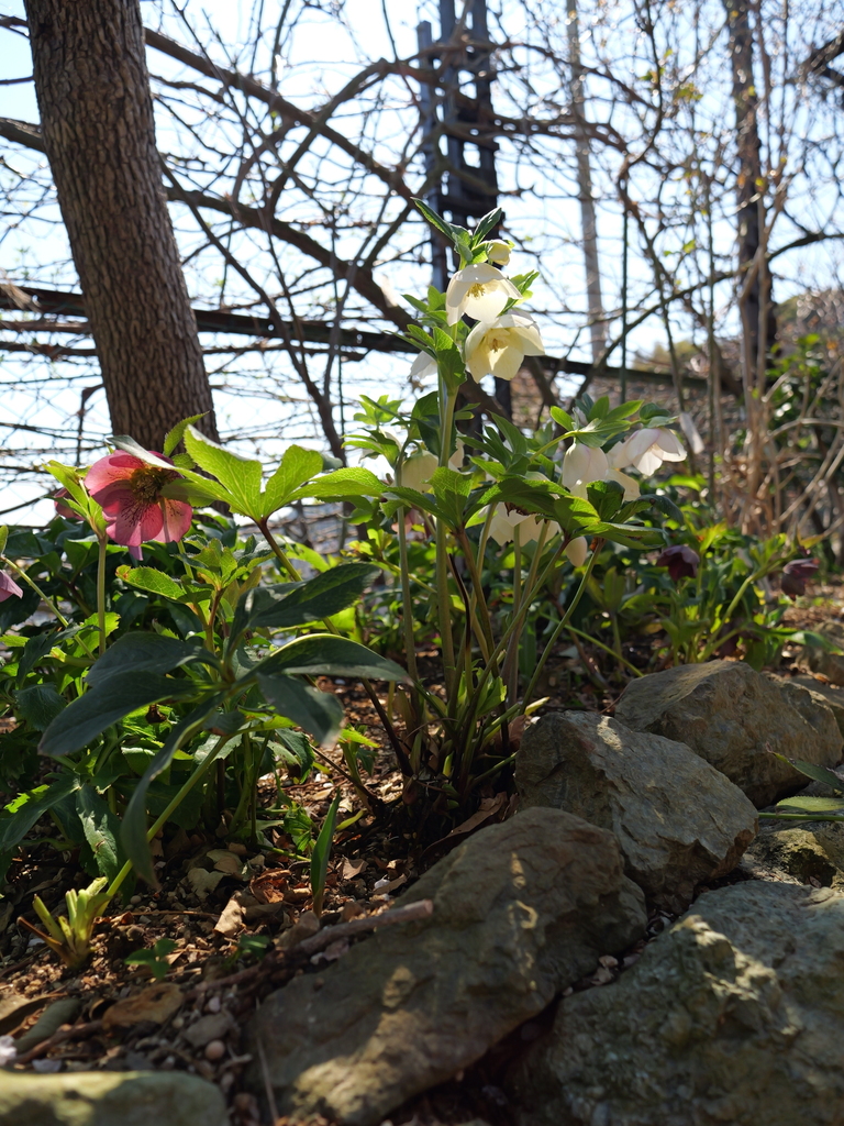 2025-03-10 10_50№(0165).JPG