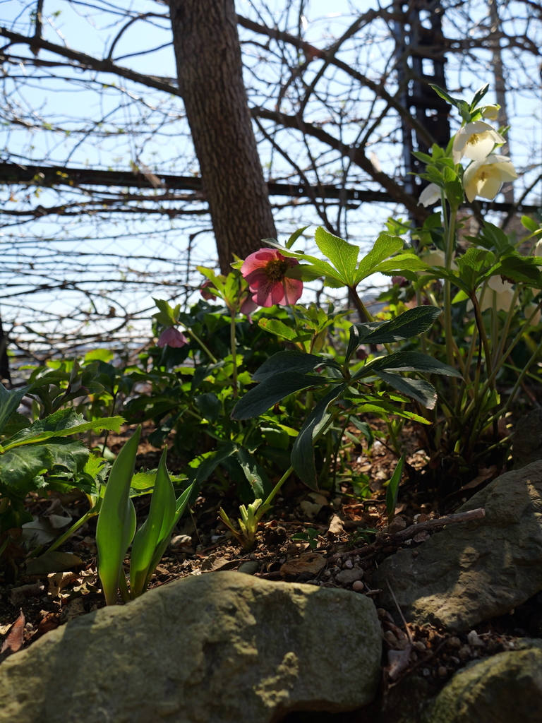 2025-03-10 10_50№(0166).JPG