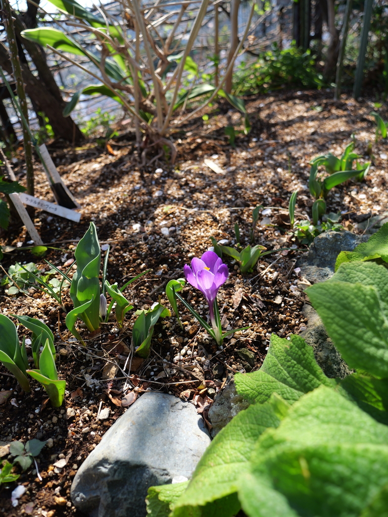2025-03-10 10_50№(0171).JPG