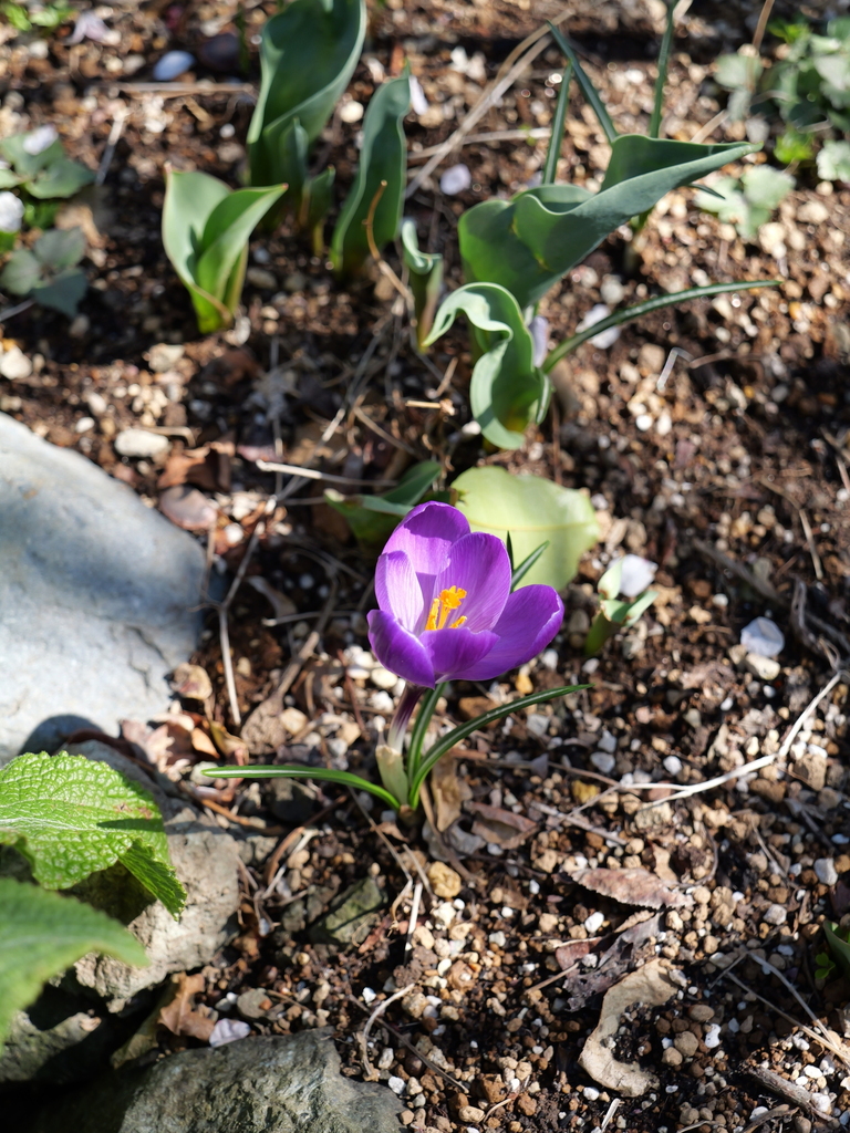2025-03-10 10_51№(0174).JPG