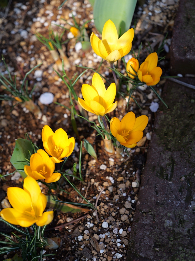 2025-03-10 10_51№(0177).JPG