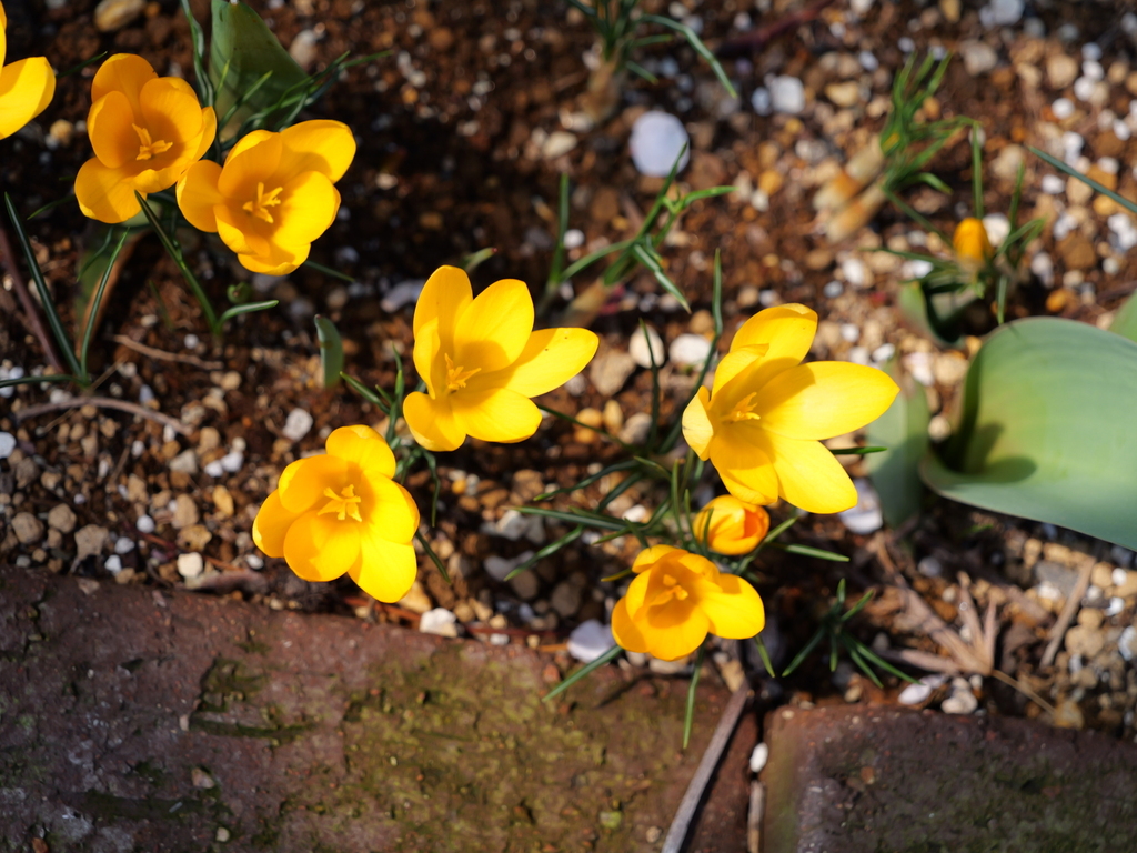 2025-03-10 10_51№(0178).JPG