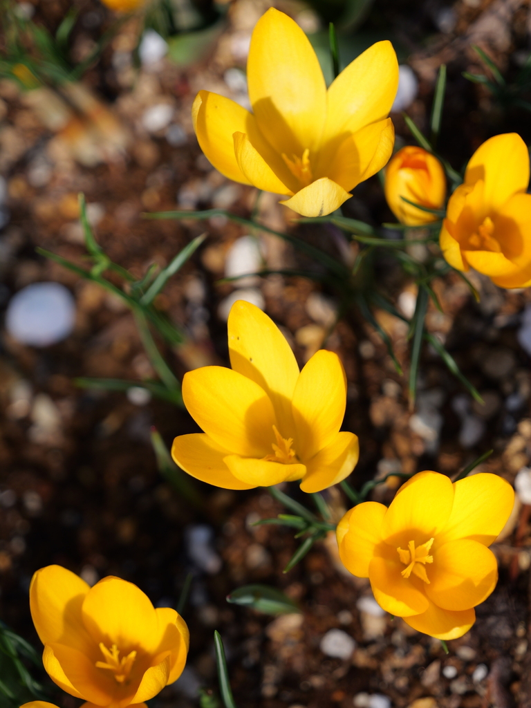 2025-03-10 10_51№(0179).JPG
