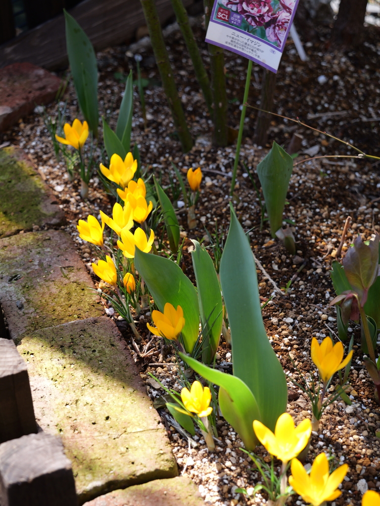 2025-03-10 10_51№(0184).JPG