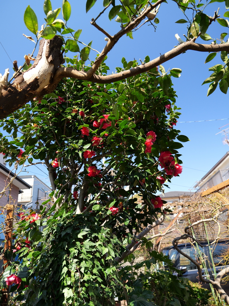 2025-03-10 10_51№(0185).JPG