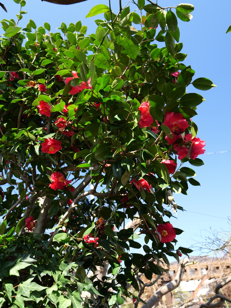 2025-03-10 10_51№(0189).JPG