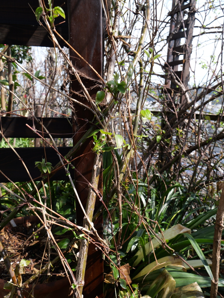 2025-03-13 10_51№(0015).JPG
