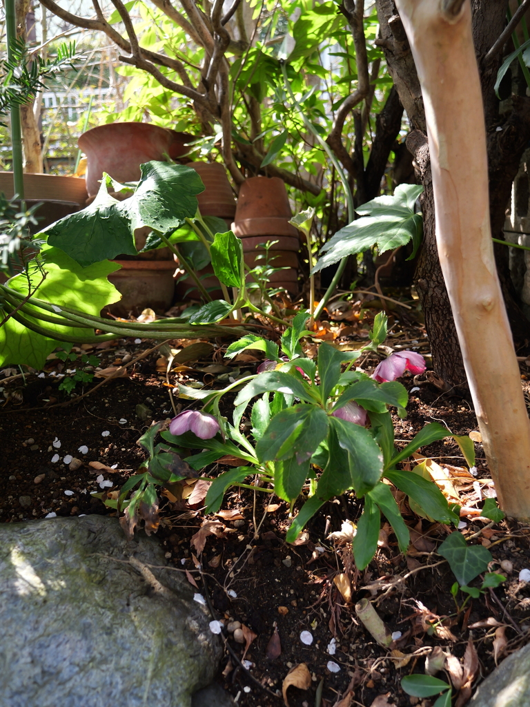 2025-03-13 10_55№(0025).JPG