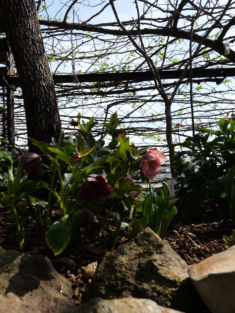 2025-03-13 10_57№(0033).JPG