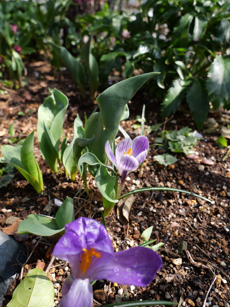 2025-03-13 10_58№(0040).JPG
