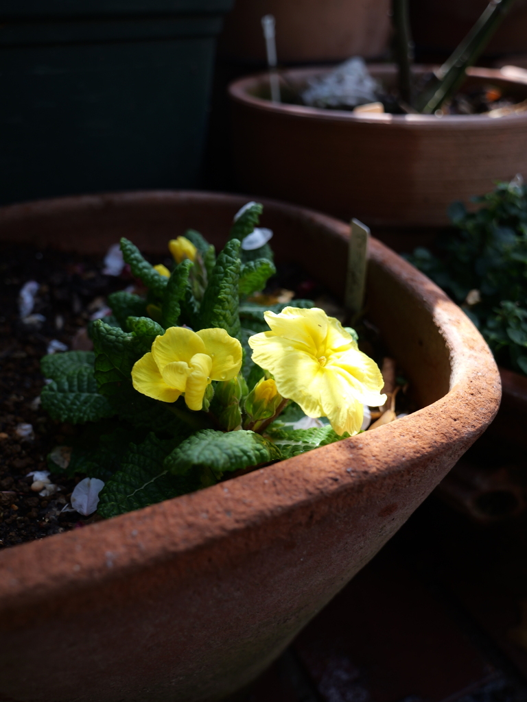 2025-03-13 11_01№(0050).JPG