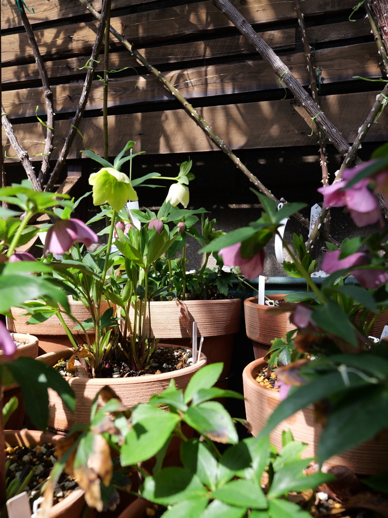 2025-03-13 11_03№(0067).JPG