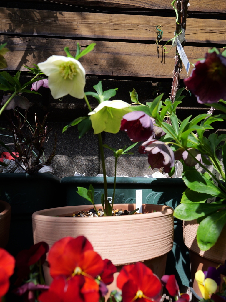 2025-03-13 11_04№(0069).JPG