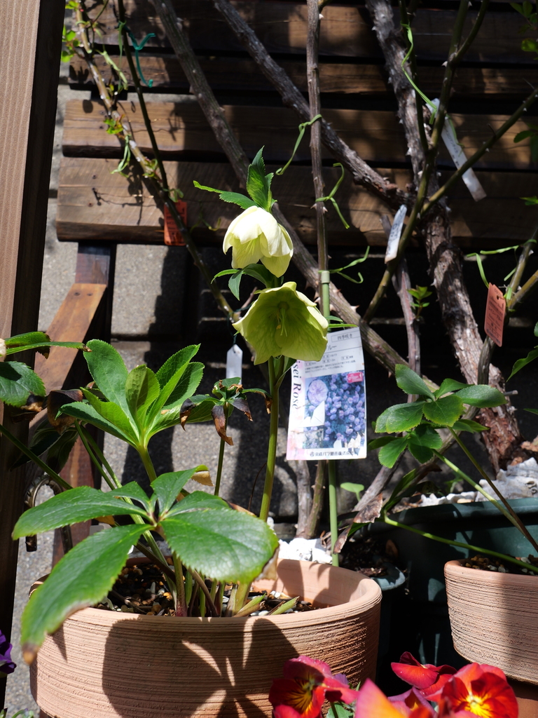 2025-03-13 11_04№(0071).JPG