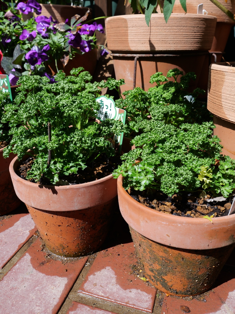 2025-03-13 11_09№(0090).JPG