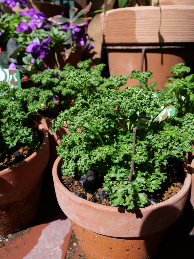 2025-03-13 11_09№(0091).JPG