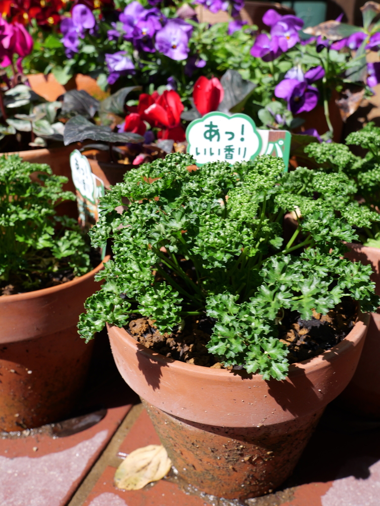2025-03-13 11_09№(0092).JPG