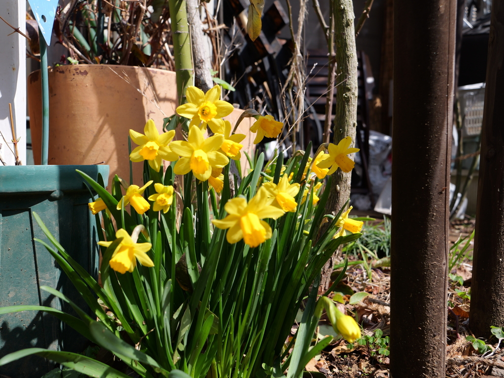 2025-03-13 11_30№(0126).JPG