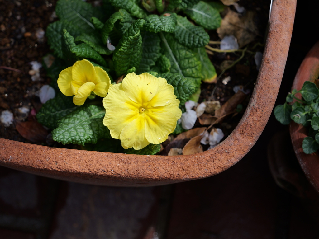 2025-03-13 11_40№(0196).JPG