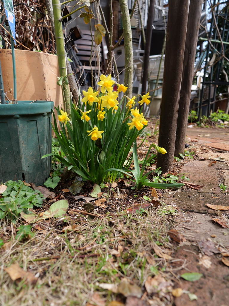 2025-03-13 11_42№(0212).JPG