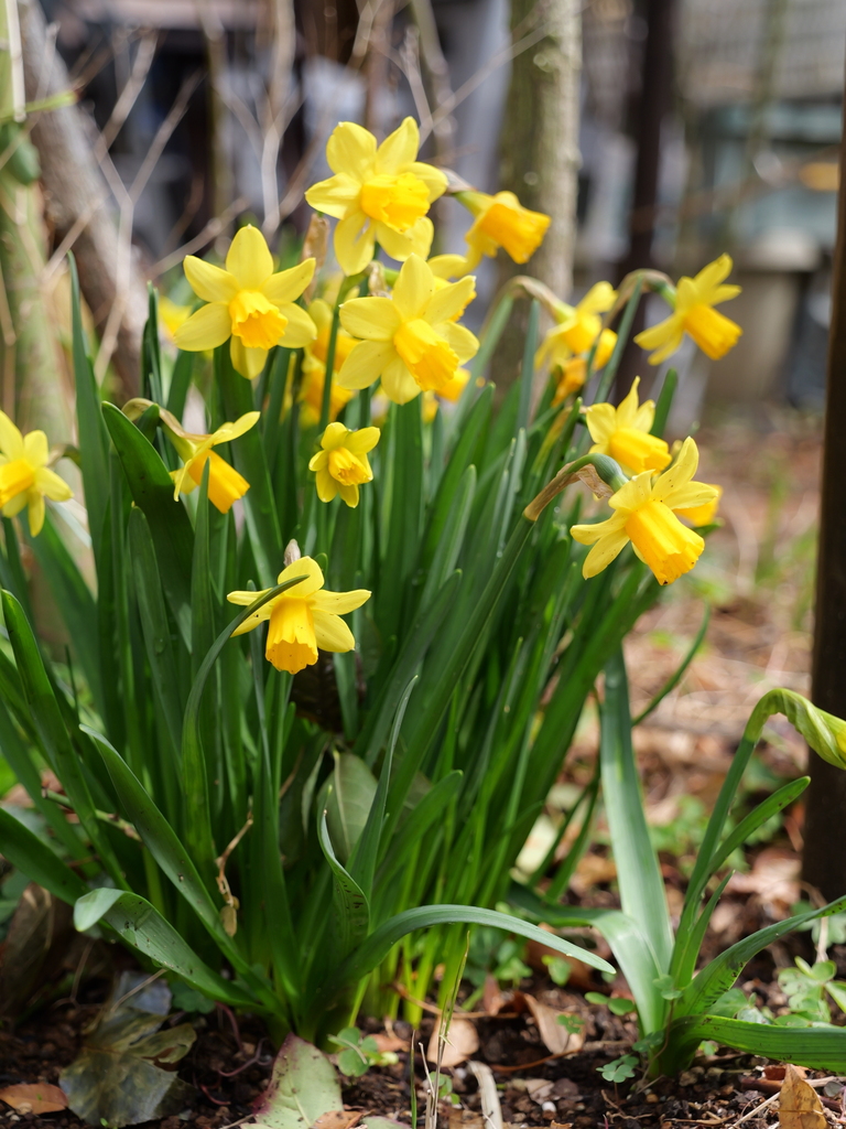 2025-03-13 11_42№(0213).JPG