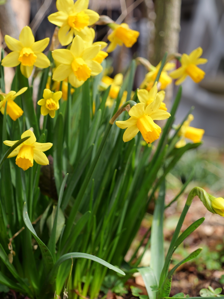 2025-03-13 11_42№(0214).JPG