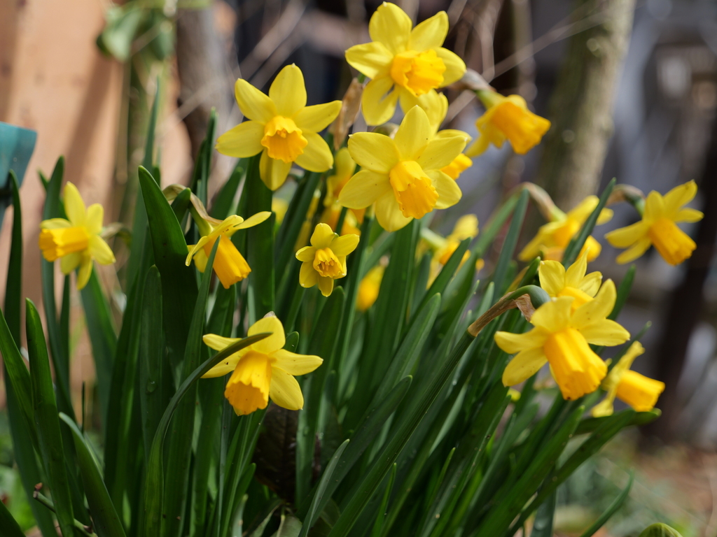 2025-03-13 11_42№(0215).JPG