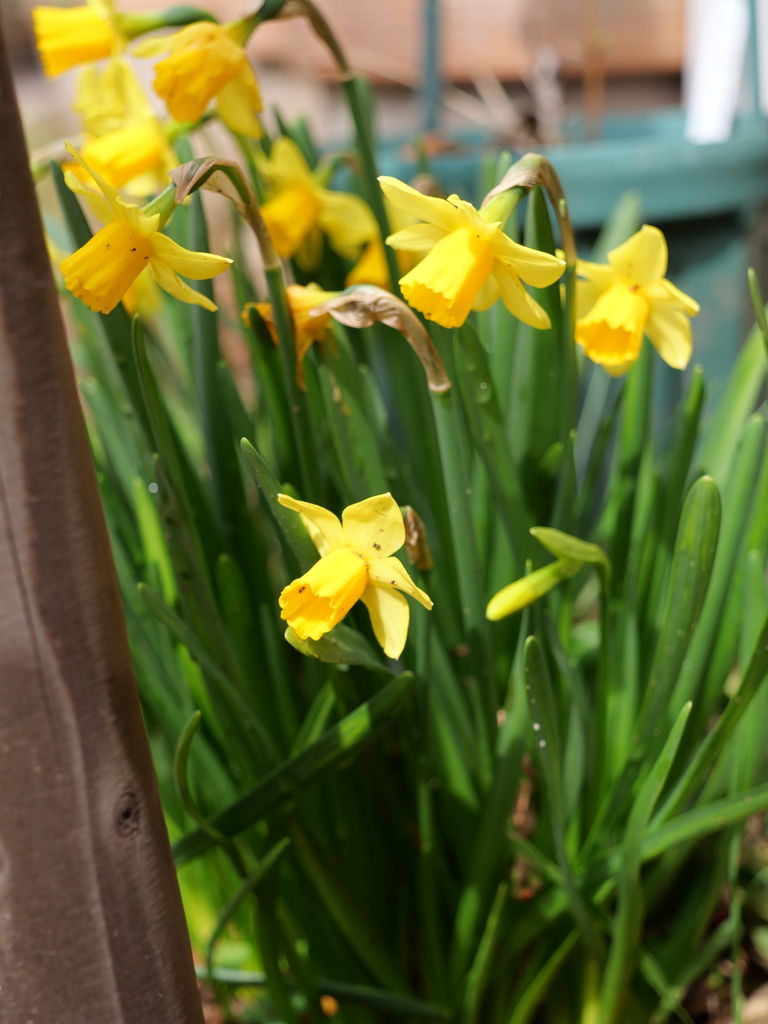 2025-03-13 11_42№(0217).JPG