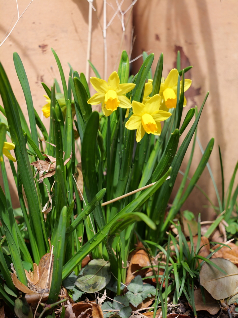 2025-03-13 11_42№(0218).JPG