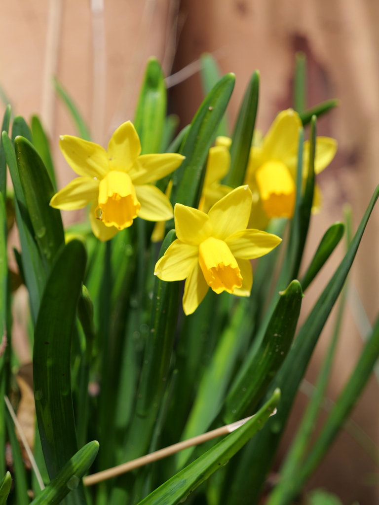 2025-03-13 11_42№(0219).JPG