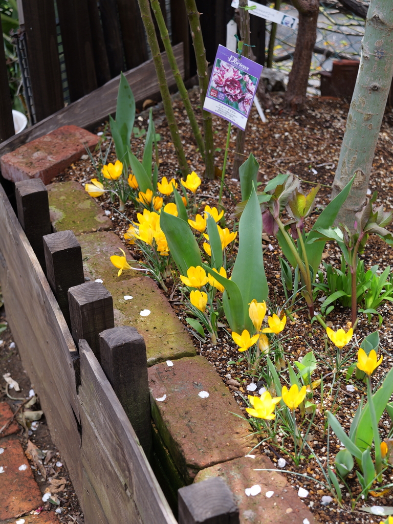 2025-03-13 11_43№(0236).JPG