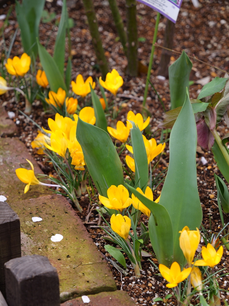 2025-03-13 11_43№(0237).JPG