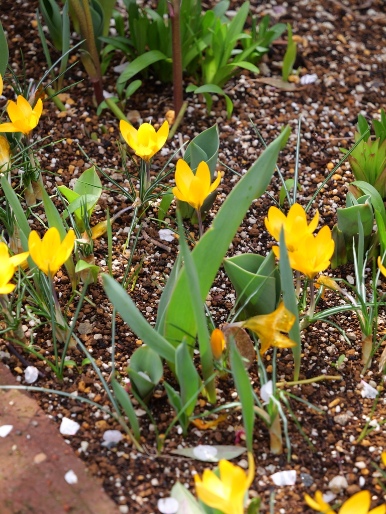 2025-03-13 11_43№(0238).JPG