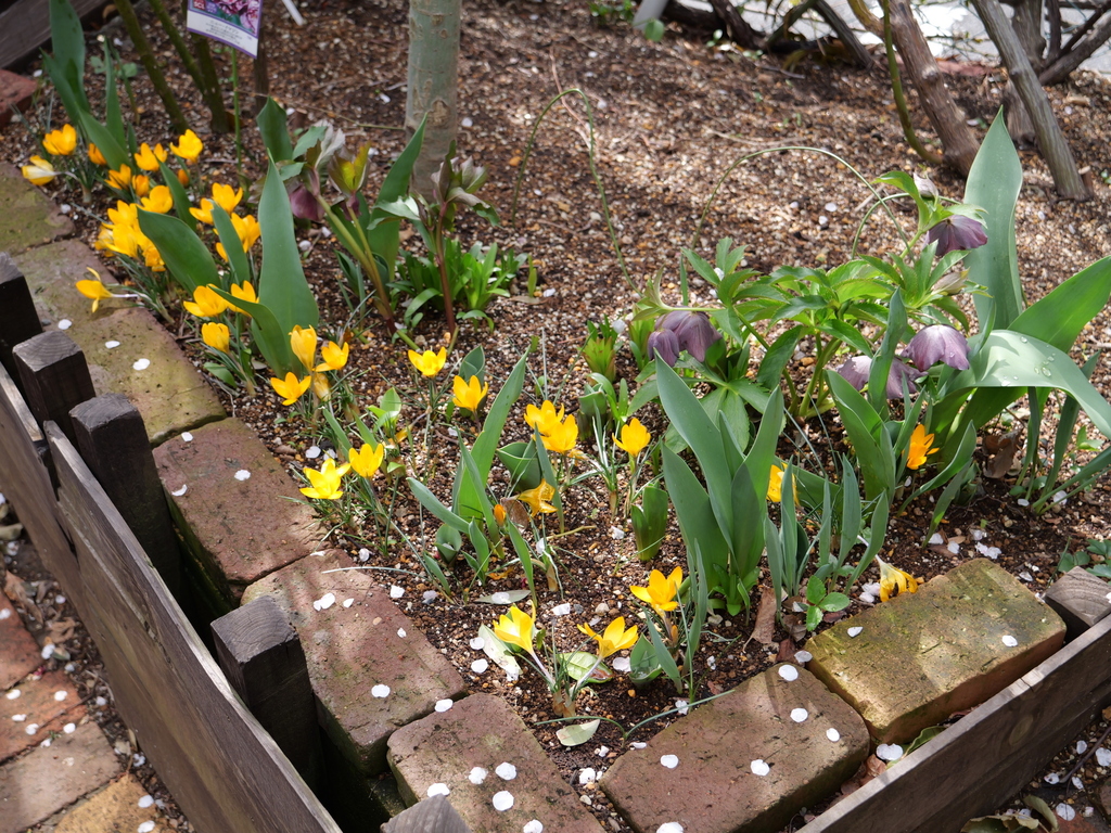 2025-03-13 11_43№(0239).JPG