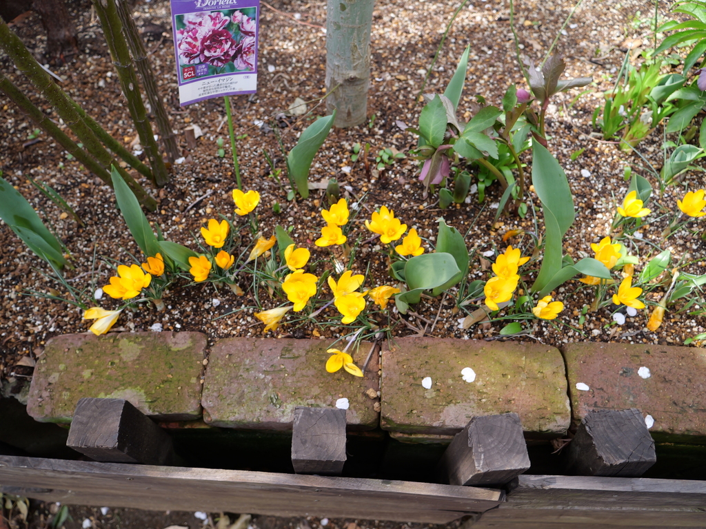 2025-03-13 11_43№(0240).JPG