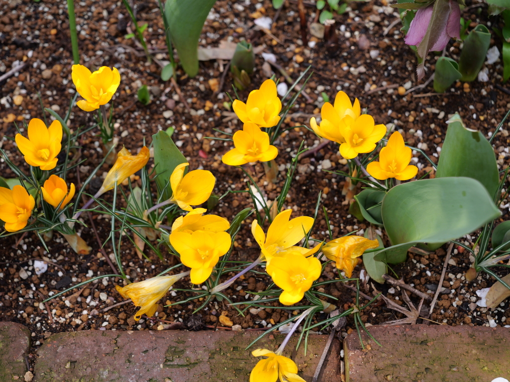 2025-03-13 11_43№(0241).JPG