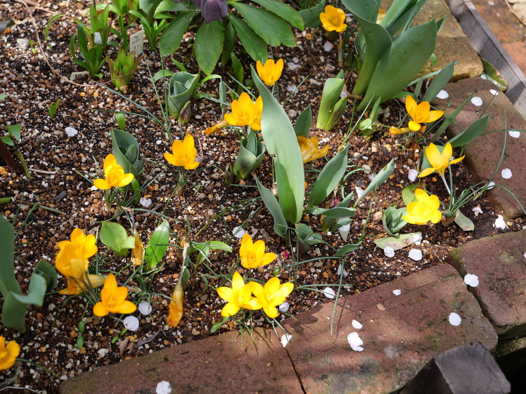 2025-03-13 11_43№(0242).JPG