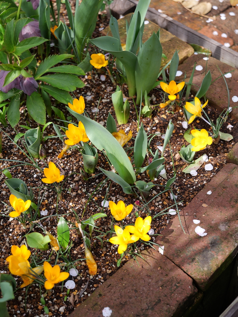 2025-03-13 11_43№(0243).JPG