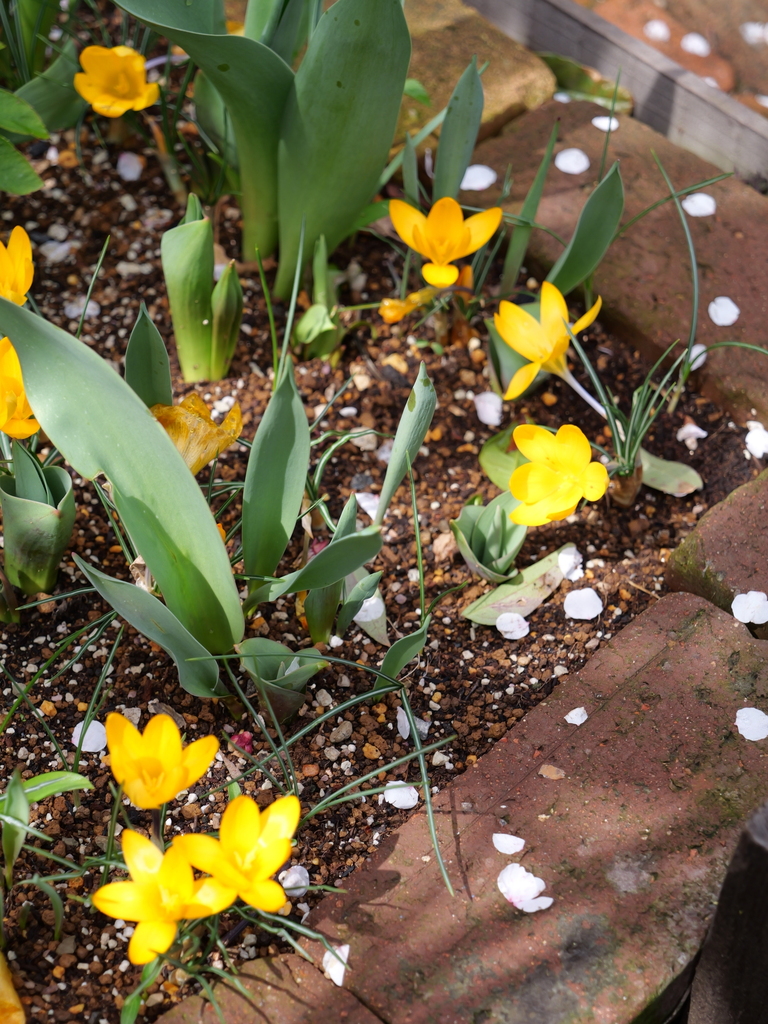 2025-03-13 11_43№(0244).JPG