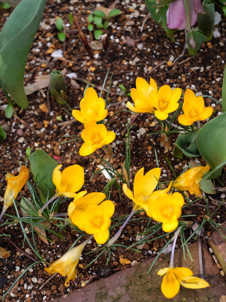 2025-03-13 11_43№(0245).JPG
