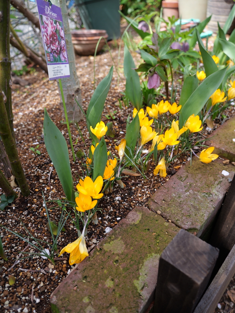 2025-03-13 11_43№(0246).JPG